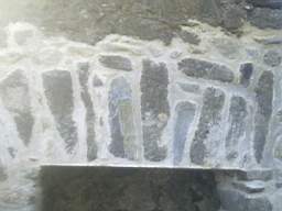 bellanamullia - 1336.jpg
